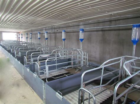 Sow Gestation Bed Galvanized Pig Farrowing Crates Pen Pig Flooring