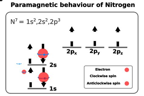 Paramagnetic vs. Diamagnetic Substances - Chemistry - PSIBERG