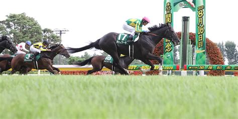 【関屋記念2022予想】本命馬5選と穴馬5選・コース解説3連単 ｜ 3連単6点勝負！競馬で夢を叶える！3連単競馬予想に役立つ情報が満載です。