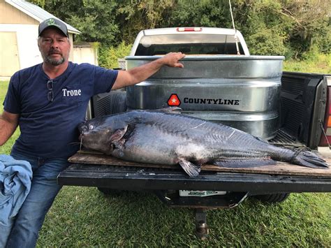 New state record blue catfish caught