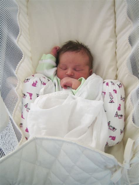 Amby Baby Hammocks Are Awesome School Mum
