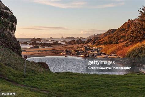 harris beach stock  high res pictures  images getty