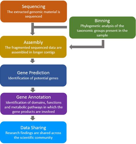 Frontiers A Review Of Bioinformatics Tools For Bio Prospecting From