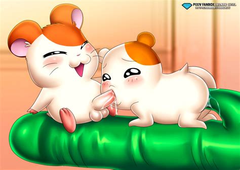 Rule 34 Blowjob Cum Cum In Mouth Cum Inside Dildo Dildo In Ass Ebichu Hamtaro Hamtaro Series