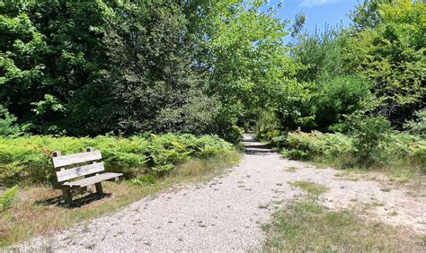 Leelanau State Park In Northport Campground And Trails Locals Guide