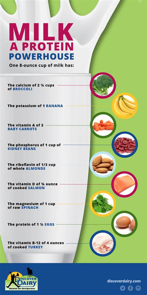 Powerhouse Protein - Discover Dairy