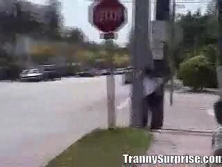 Pussy Shemale Porn Videos AShemaleTube