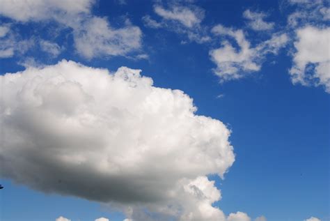cumulus