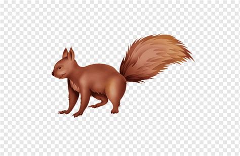 Gambar Tupai Kartun – pulp