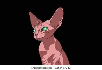 442 Naked Kitten Stock Vectors And Vector Art Shutterstock