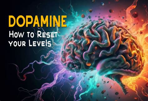 reset dopamine levels fast revive detox