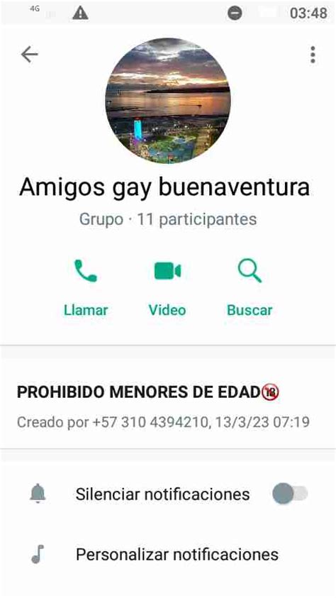 Grupos Gay De Whatsapp Gay Groups In Whatsapp Guia Gay Colombia