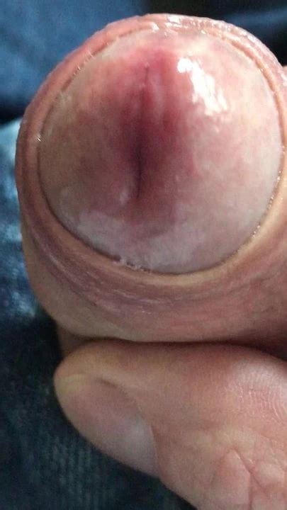 Mein Schwanz Wartet Auf Eine Feuchte Muschi Und Will Ficken Gay Porn XHamster