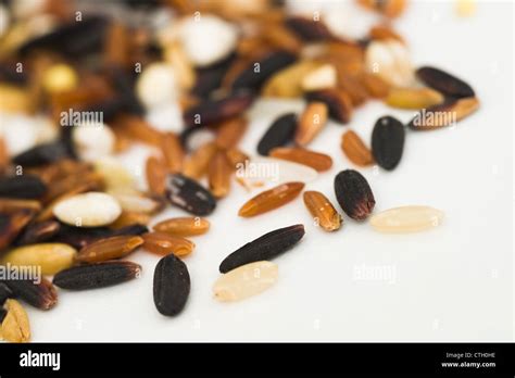 Brown Wild Rice Hi Res Stock Photography And Images Alamy