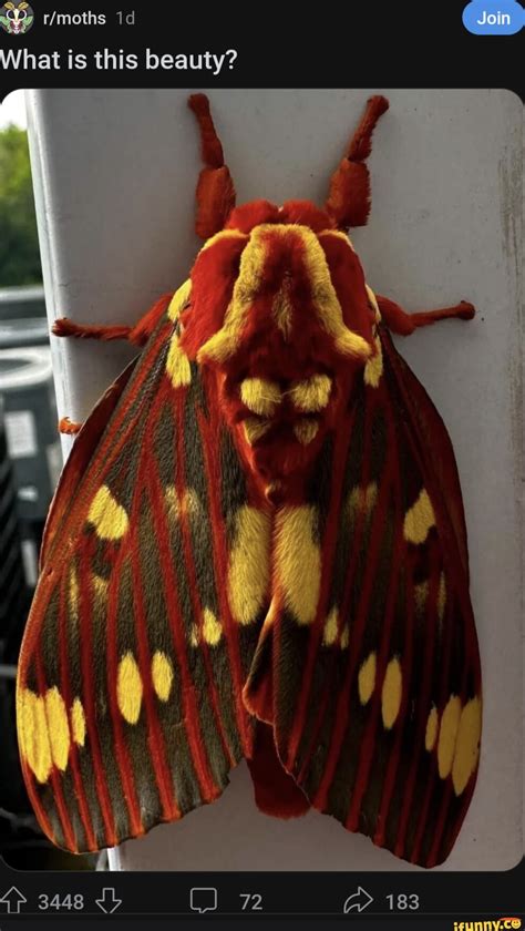 My Dumb Ass Used To Try To Look Under The Tv To See His Face Nah My Dumbass Just Thought My Tv