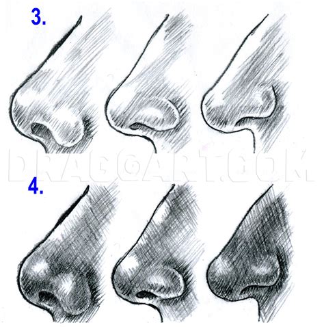 how to draw a simple nose 2