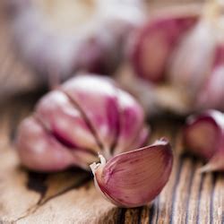 Garlic Has Potential Antibacterial Properties for UTIs