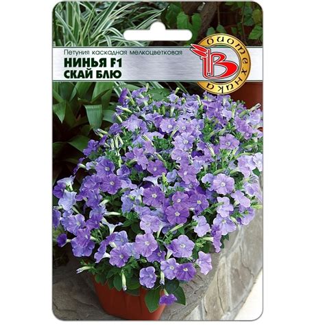 Петуния Нинья F1 Скай Блю “Биотехника” 5 шт | Интернет-магазин семян "6 ...