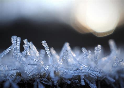Frost By Maygoldworthy On Deviantart