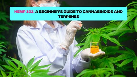 Learn About Cannabinoids And Terpenes In Hemp Hemp 101 Guide