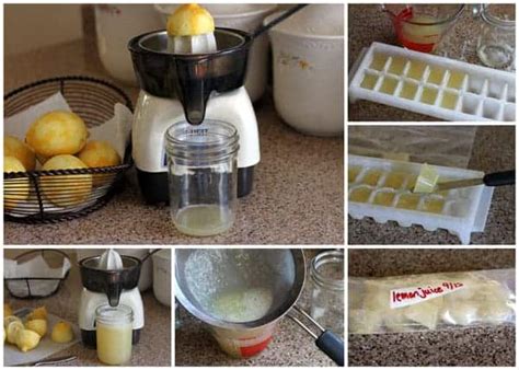 How to: Freeze Lemon Juice | Barbara Bakes