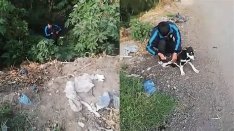 Video Hombre Amarra Y Avienta Al Río A Un Perro En Chiconcuac Otro Lo Grabó Y Se Hace Viral