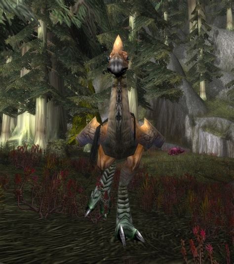 The Bears Blessing Quest Cataclysm Classic