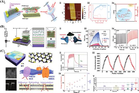 A I Schematic Of The Mos Ptcda Hybrid Synaptic Transistor And The