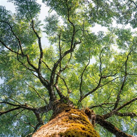 find purpose  discover  path  life calm blog