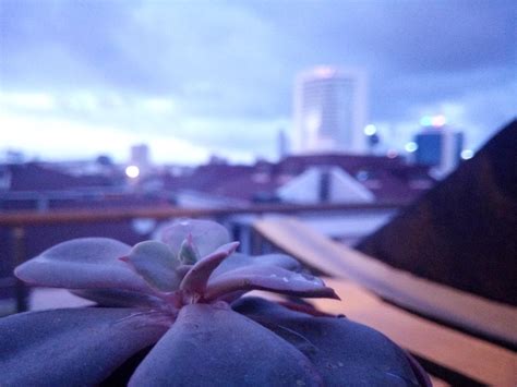 Bi düşündüm de sex yapmadan ölecek insanlar var r KGBTR