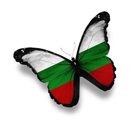 South African Flag Butterfly Isolated On White Stock Photo Sun