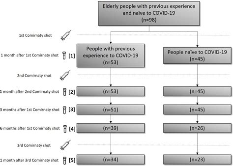 Frontiers Evolution Of Antibody Profiles Against Sars Cov In