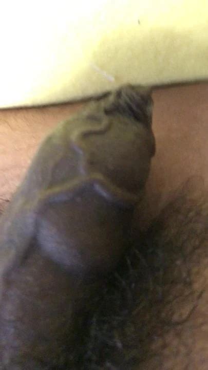 Alexis Texas Cum Tribute Gay Man Porn XHamster