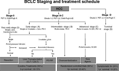 Barcelona Clinic Liver Cancer Bclc Staging Classification Cancerwalls