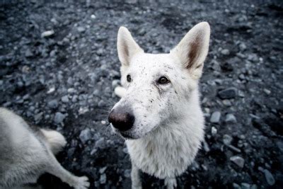 Post Sunflower Tits Tumblr Tumbex