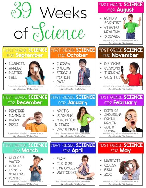 Science For 1st Grade Homeschool Lessons