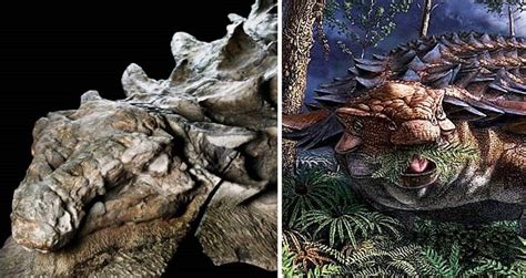 Scientists Dissect Gut Of Dinosaur 'Mummy' To Reavel Its Last Meal