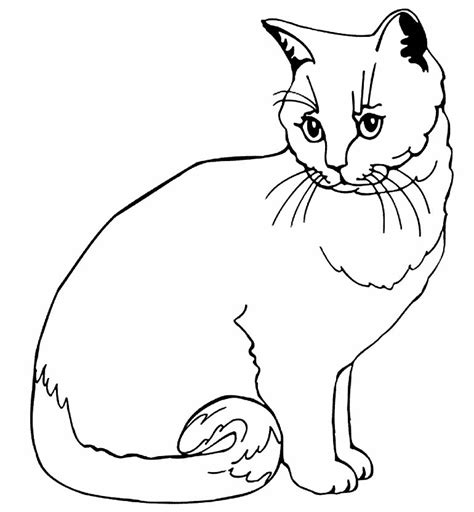 50 Desenhos De Gatinhos Para Colorir Dicas Práticas