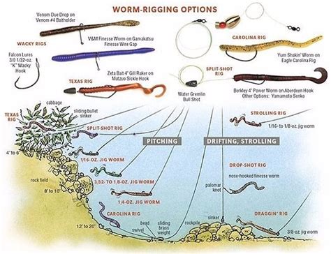 Worm Rigging Options - FishingKaki.com