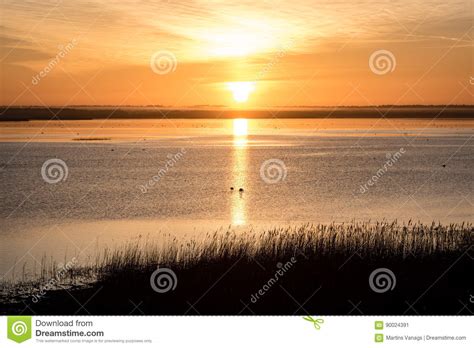 Beautiful Sunrise Over Country Lake Stock Image Image Of Climate