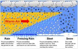 Types And Distribution Of Precipitation Geography Optional For UPSC