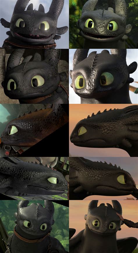 Toothless Head Comparison Frontside View By Roma2poi On Deviantart