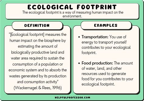 10 Ecological Footprint Examples 2024