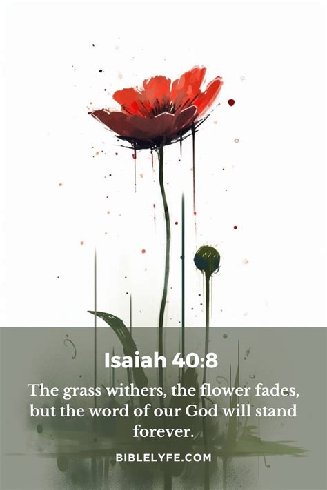 Bible Verses About Flowers Bible Lyfe