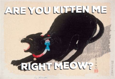 Me Right Meow GIFs - Get the best GIF on GIPHY