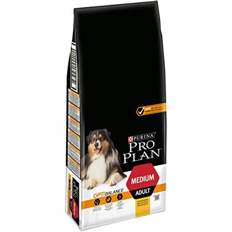 Die 16 Besten Pro Plan Hundefutter Hier Im Überblick Ratgeber