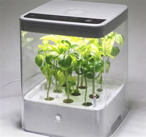 Grow cabinet and grow box ideas – how to develop plants indoors