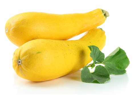 how to cook squash yellow