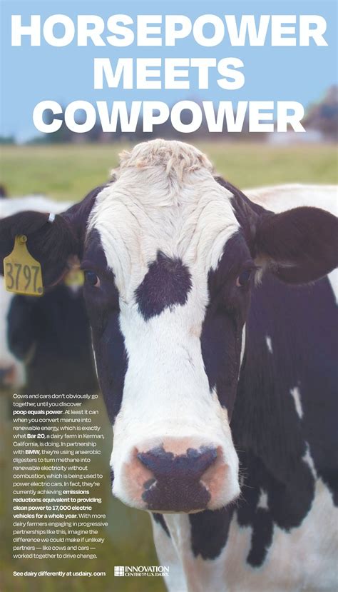 Dairy Sustainability Framework Us Dairy