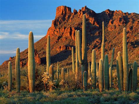 Top 999 Arizona Desert Wallpaper Full Hd 4k Free To Use